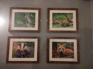 Pictures at Super Natural Newcastle in Newcastle Upon Tyne