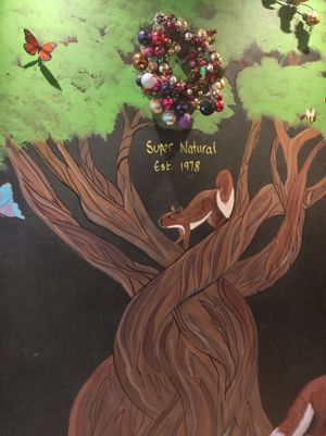 Wallpaper at Super Natural Newcastle in Newcastle Upon Tyne