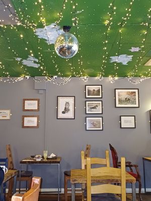 Love the levitating beach doggo pictures! at Super Natural Newcastle in Newcastle Upon Tyne