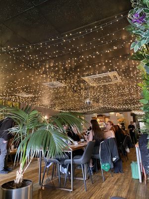   at Super Natural Newcastle in Newcastle Upon Tyne