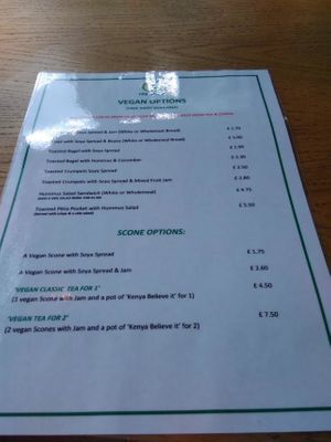 S shot of the separate vegan menu. at Tea Total in Lyndhurst
