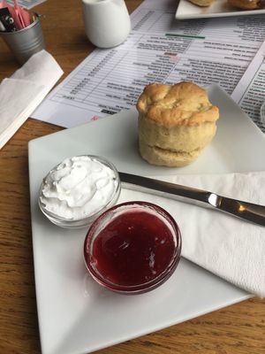 Vegan scone with jam and vegan whipped cream!  at Tea Total in Lyndhurst