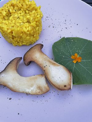 Risotto with mushrooms  at Art-lodge in Verditz