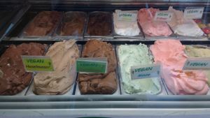 One counter devoted to vegan. at Eissalon am Schwedenplatz in Vienna