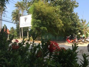 The entrance of the restaurant at Organic Love in Koh Phangan