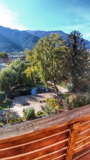 Garden (view from room) at La Vimea - Vegan Hotel & Vegan Restaurant in Naturno