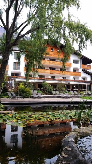 Hotel view from the garden at La Vimea - Vegan Hotel & Vegan Restaurant in Naturno