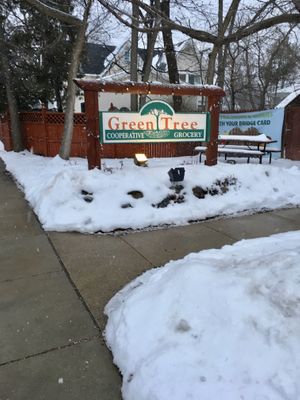 Green Tree at GreenTree Cooperative Grocery in Mount Pleasant
