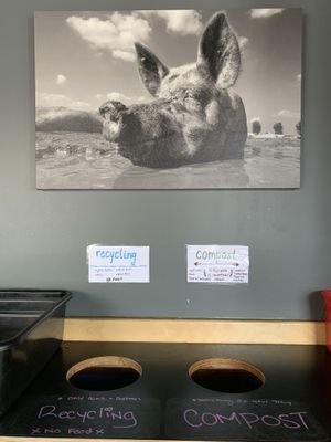 Recycling and compostable everything!  at Boon Burger Cafe in Burlington