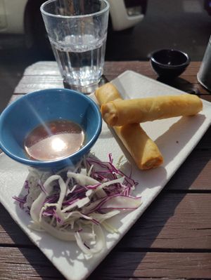 Springrolls! at Monsun Noodlebar in Oslo