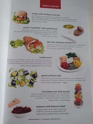Menu main courses at Rawdia in Brasov