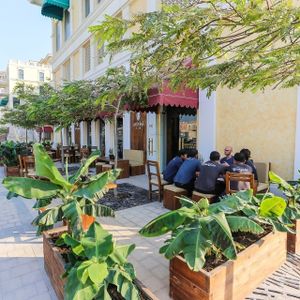 Evergreen at Evergreen Organics in Doha