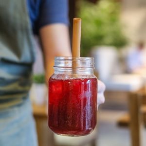 Evergreen at Evergreen Organics in Doha