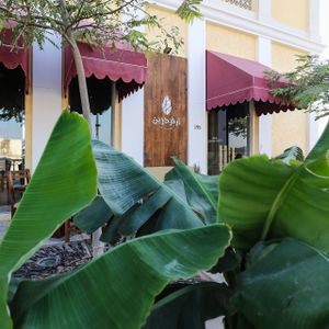 Evergreen at Evergreen Organics in Doha