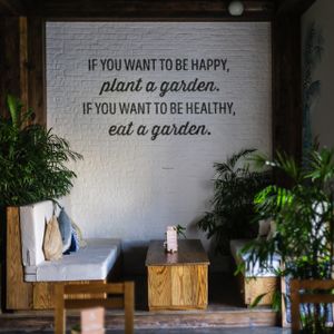 evergreen  at Evergreen Organics in Doha