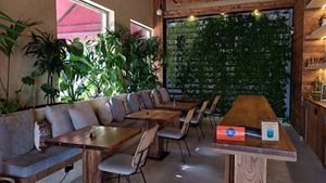  at Evergreen Organics in Doha