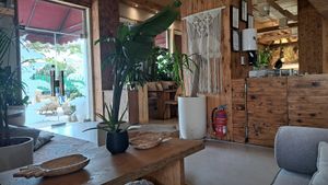  at Evergreen Organics in Doha