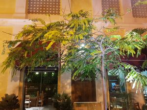 Exterior at Evergreen Organics in Doha