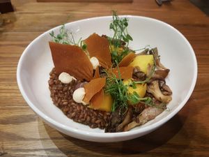 Pumpkin and mushroom risotto at Evergreen Organics in Doha