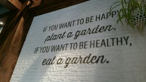 wall decoration at Evergreen Organics in Doha