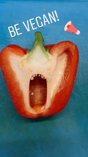 Be vegan! at Loving Hut in Rimini