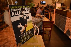 Events for animal rights at Loving Hut in Rimini