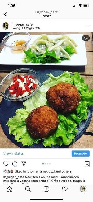 Ravioli and arancini  at Loving Hut in Rimini