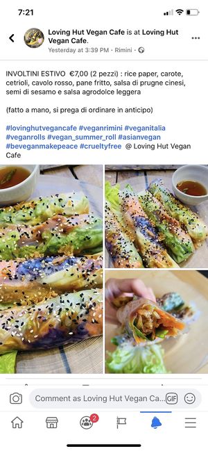 Summer rolls at Loving Hut in Rimini