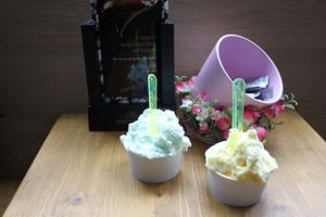 Mint and Mango Ice cream Vegan :)  at Ciuri Ciuri in Falmouth