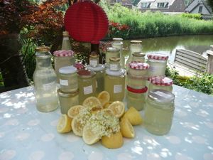 May is the season of Elderflower lemonade. As you can see, we like to plan big to share all the goodness with guests and friends.  at FireJuice in Amsterdam