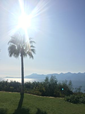 Outlook from the restaurant.  at TheLifeCo Akra Antalya Wellbeing and Detox Center in Antalya