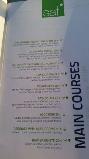 Menu - Mains at TheLifeCo Akra Antalya Wellbeing and Detox Center in Antalya