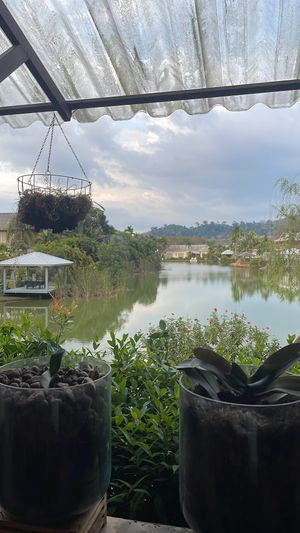  #Veganuary at The LifeCo Detox in Phuket