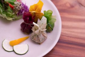 Kimchi Dumpling at The LifeCo Detox in Phuket