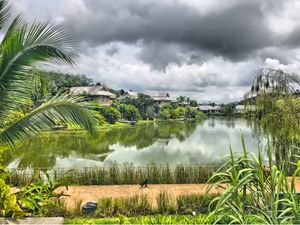 Views!!!!! at The LifeCo Detox in Phuket