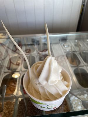 Vegan Almond ice-cream   at Joya Canti di Stagione in Polignano A Mare