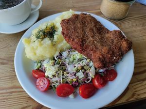 Vegan schnitzel, mashed potatoes, salad. at Zemsta in Poznan