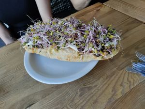 Sandwich and sprouted plants. at Zemsta in Poznan