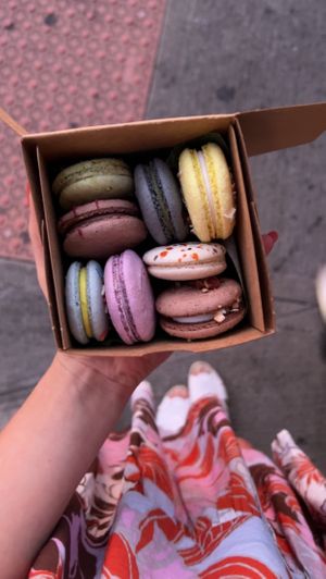   at Confectionery! in New York City