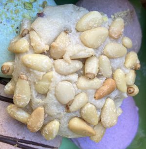   at Confectionery! in New York City