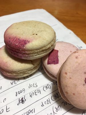 Delicious vegan macarons at Confectionery! in New York City