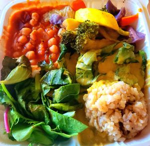 Moderate plate at Shangri-La Vegan - Telegraph in Oakland