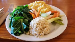 simple plate at Shangri-La Vegan - Telegraph in Oakland