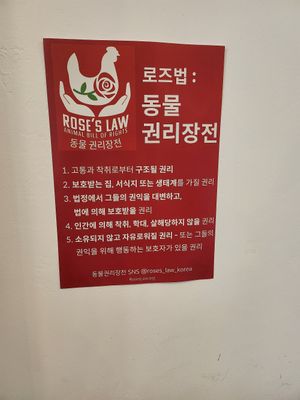  at Haemil Bakery in Seoul
