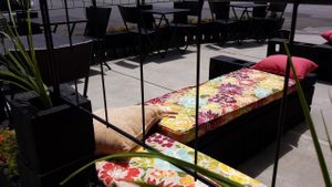 Outdoor seating available  at Aloe Vera's Eatery in Fredonia