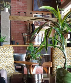 Aloe Vera ambiance  at Aloe Vera's Eatery in Fredonia