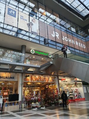 Veganland Prague at Loving Hut in Prague