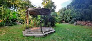 Garden at Le Robinson in Albi