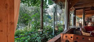 Terrace at Le Robinson in Albi