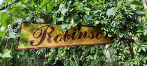 Entrance at Le Robinson in Albi